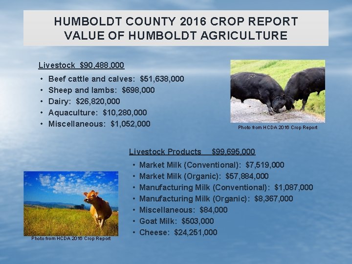 HUMBOLDT COUNTY 2016 CROP REPORT VALUE OF HUMBOLDT AGRICULTURE Livestock $90, 488, 000 •