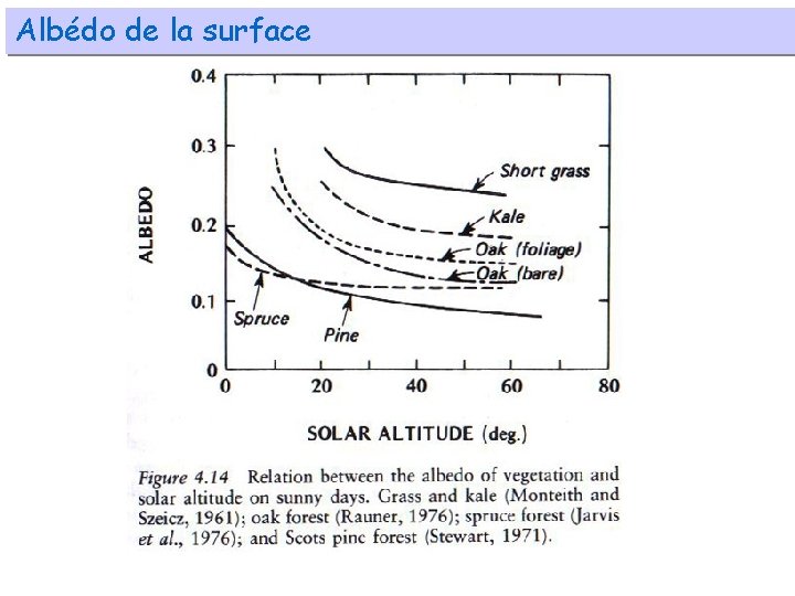 Albédo de la surface 