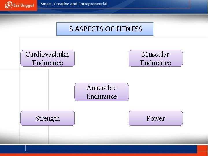 5 ASPECTS OF FITNESS Cardiovaskular Endurance Muscular Endurance Anaerobic Endurance Strength Power 