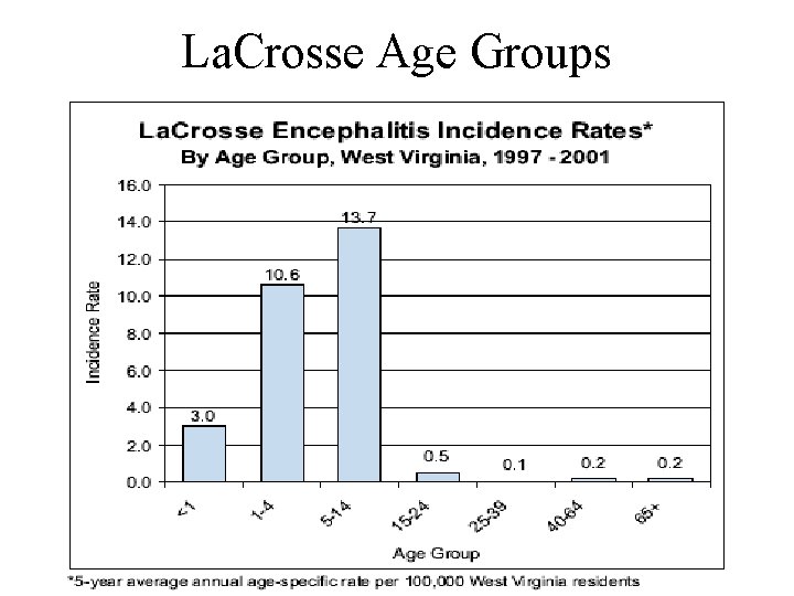 La. Crosse Age Groups 