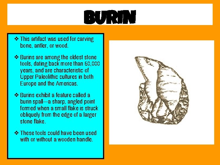BURIN ❖ This artifact was used for carving bone, antler, or wood. ❖ Burins