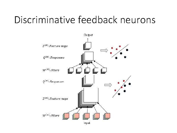 Discriminative feedback neurons 