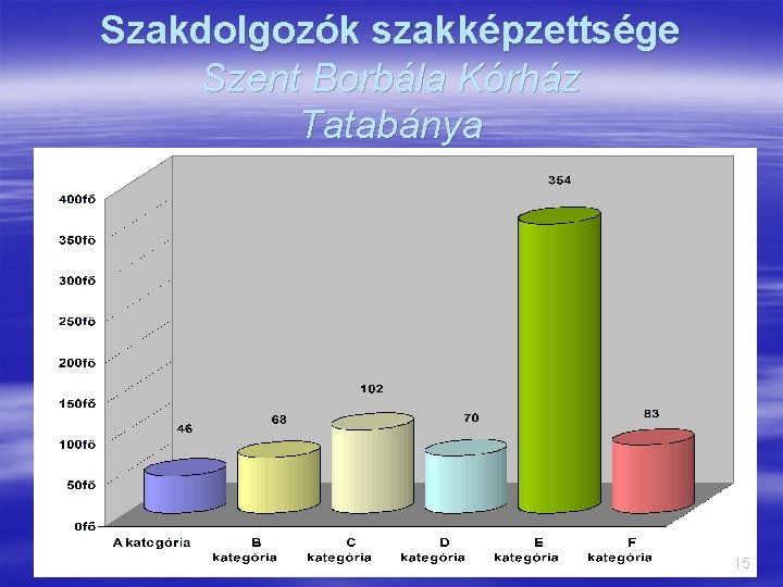 Szakdolgozók szakképzettsége Szent Borbála Kórház Tatabánya 15 