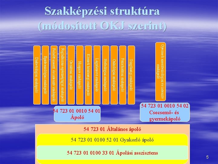 Szakképzési struktúra (módosított OKJ szerint) Gyermek aneszteziológiai és intenzív szakápoló Sürgősségi szakápoló Pszichiátriai szakápoló Szakképzési struktúra (módosított OKJ szerint) Gyermek aneszteziológiai és intenzív szakápoló Sürgősségi szakápoló Pszichiátriai szakápoló