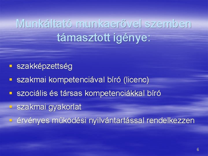 Munkáltató munkaerővel szemben támasztott igénye: § szakképzettség § szakmai kompetenciával bíró (licenc) § szociális