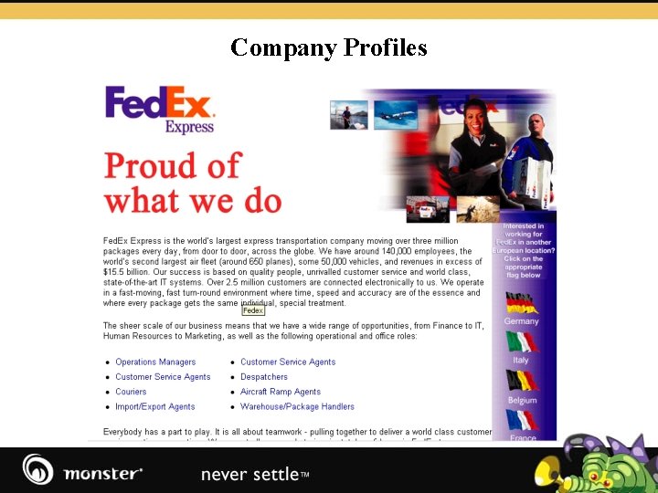 Company Profiles 