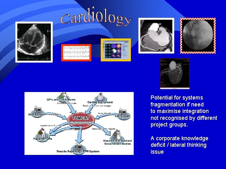 Potential for systems fragmentation if need to maximise integration not recognised by different project