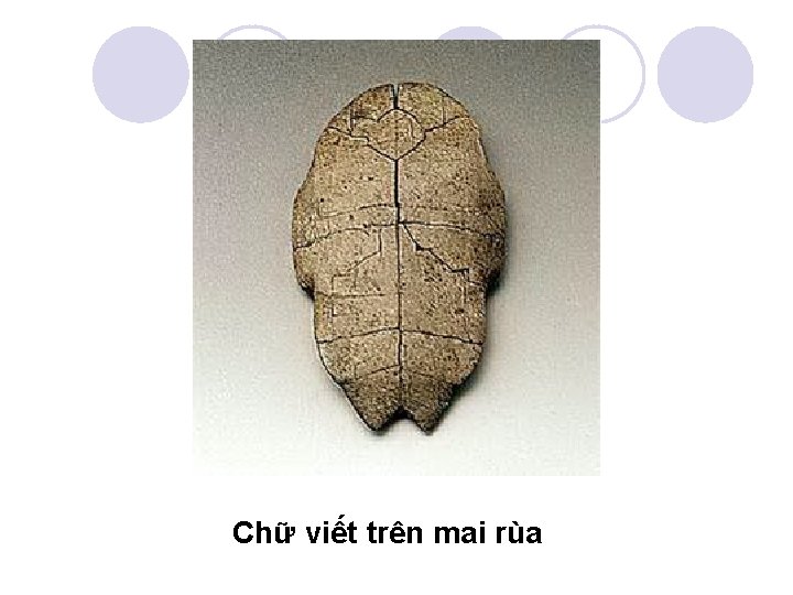 Chữ viết trên mai rùa 