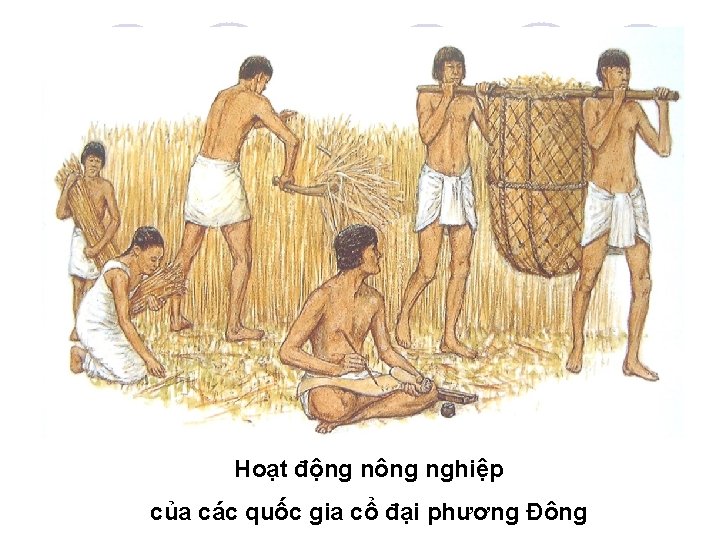 Hoạt động nông nghiệp của các quốc gia cổ đại phương Đông 