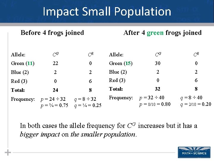 Impact Small Population Before 4 frogs joined After 4 green frogs joined Allele: CG