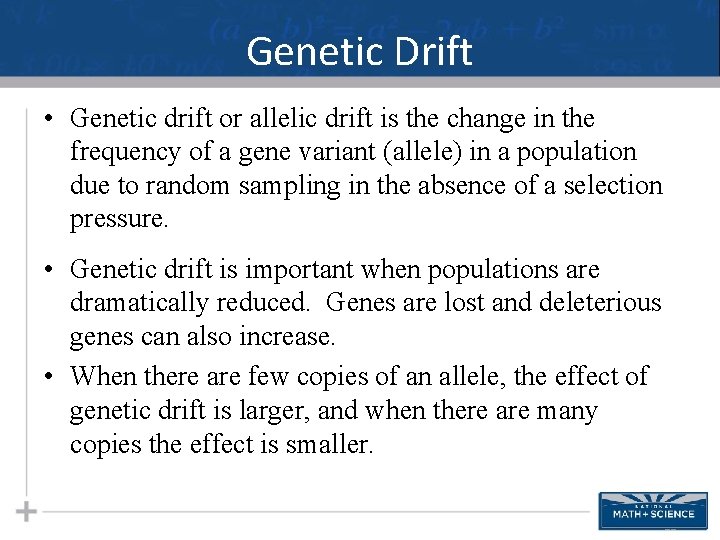 Genetic Drift • Genetic drift or allelic drift is the change in the frequency