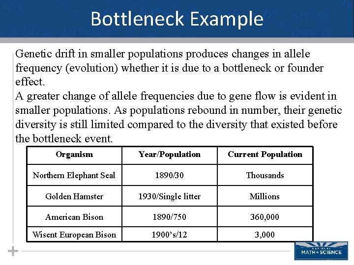 Bottleneck Example Genetic drift in smaller populations produces changes in allele frequency (evolution) whether