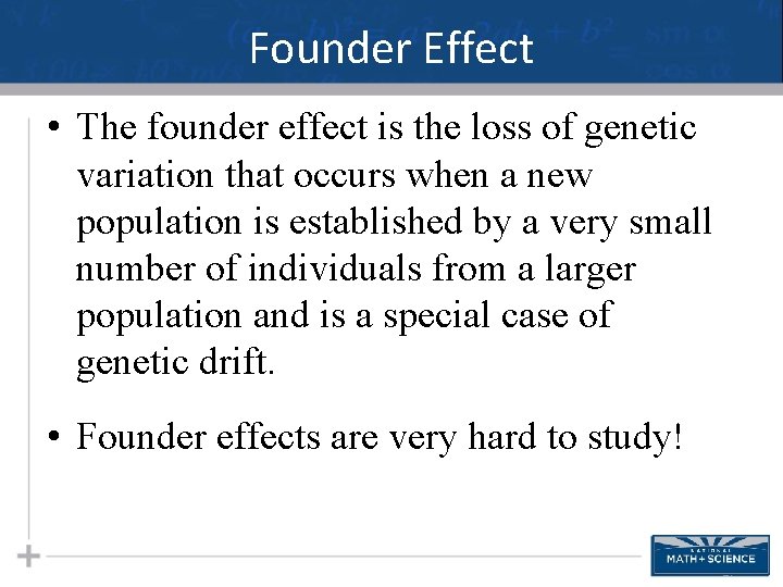 Founder Effect • The founder effect is the loss of genetic variation that occurs