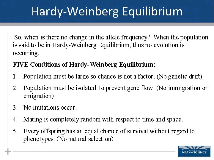 Hardy-Weinberg Equilibrium So, when is there no change in the allele frequency? When the