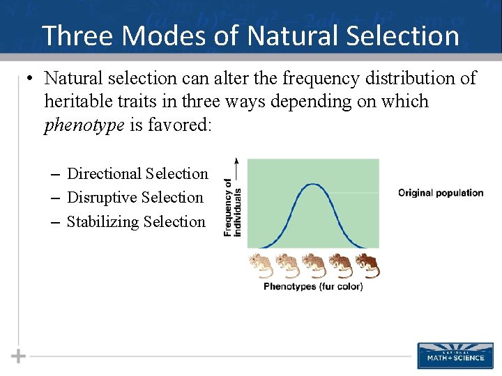 Three Modes of Natural Selection • Natural selection can alter the frequency distribution of