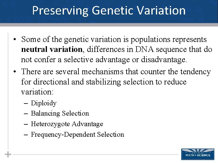 Preserving Genetic Variation • Some of the genetic variation is populations represents neutral variation,