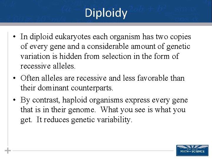 Diploidy • In diploid eukaryotes each organism has two copies of every gene and