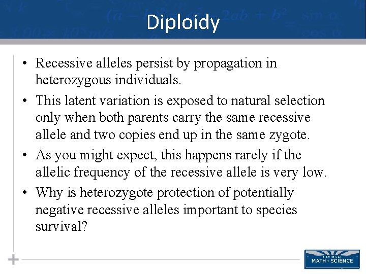 Diploidy • Recessive alleles persist by propagation in heterozygous individuals. • This latent variation