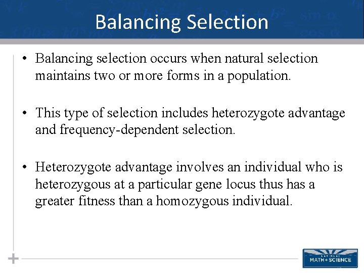 Balancing Selection • Balancing selection occurs when natural selection maintains two or more forms