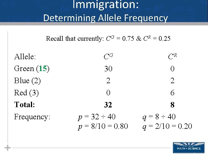 Immigration: Determining Allele Frequency Recall that currently: CG = 0. 75 & CR =