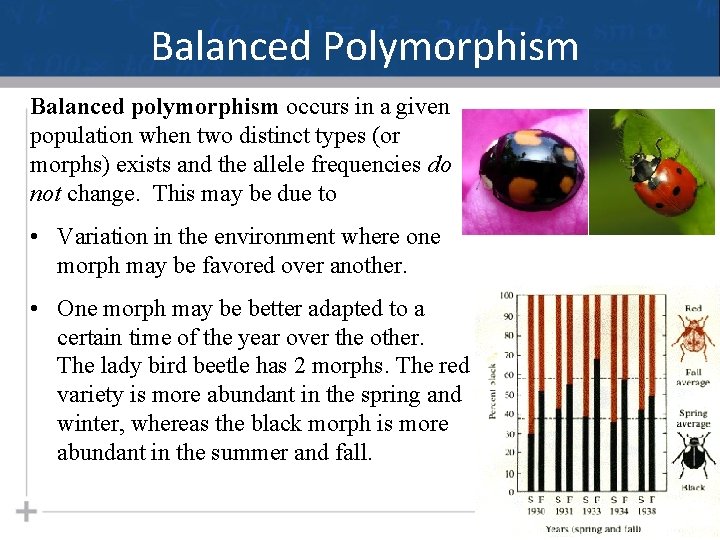 Balanced Polymorphism Balanced polymorphism occurs in a given population when two distinct types (or