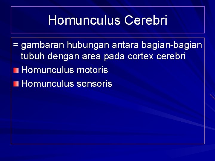 Homunculus Cerebri = gambaran hubungan antara bagian-bagian tubuh dengan area pada cortex cerebri Homunculus