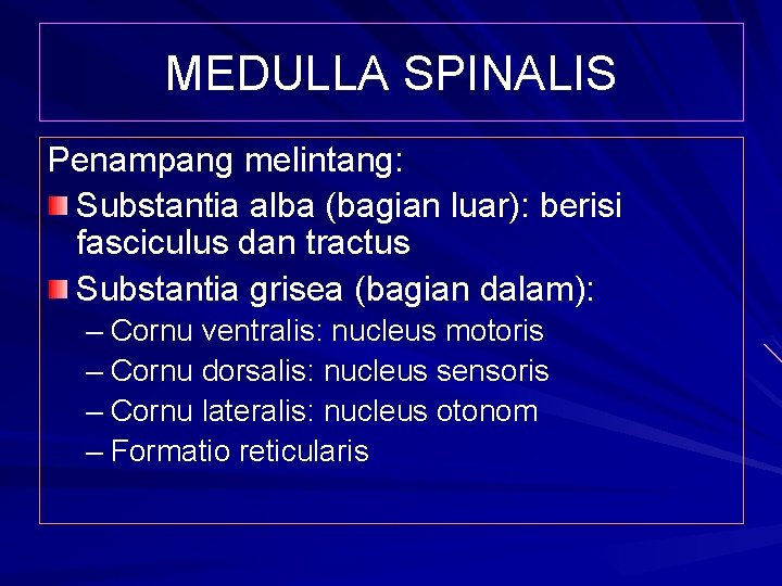 MEDULLA SPINALIS Penampang melintang: Substantia alba (bagian luar): berisi fasciculus dan tractus Substantia grisea
