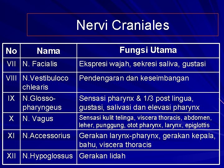 Nervi Craniales No Nama Fungsi Utama VII N. Facialis Ekspresi wajah, sekresi saliva, gustasi