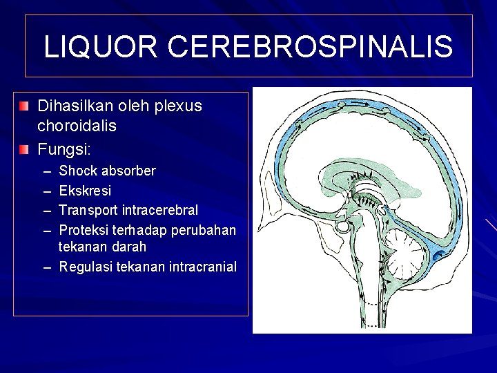 LIQUOR CEREBROSPINALIS Dihasilkan oleh plexus choroidalis Fungsi: – – Shock absorber Ekskresi Transport intracerebral