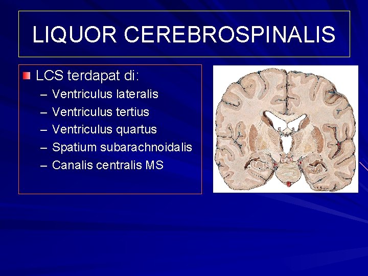 LIQUOR CEREBROSPINALIS LCS terdapat di: – – – Ventriculus lateralis Ventriculus tertius Ventriculus quartus