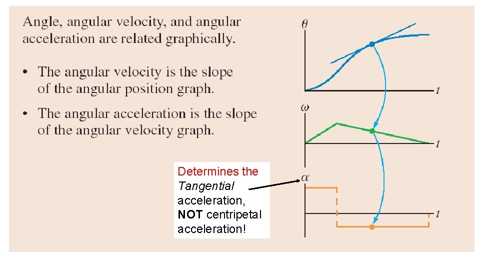 Determines the Tangential acceleration, NOT centripetal acceleration! 