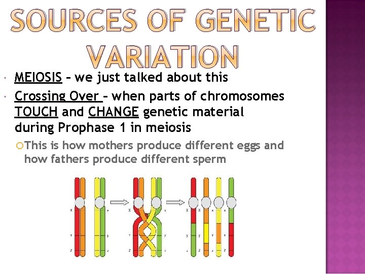  SOURCES OF GENETIC VARIATION MEIOSIS – we just talked about this Crossing Over