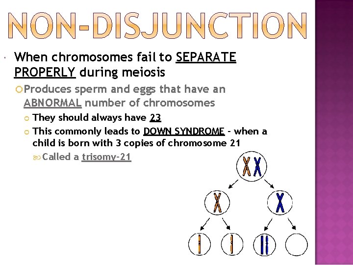  When chromosomes fail to SEPARATE PROPERLY during meiosis Produces sperm and eggs that