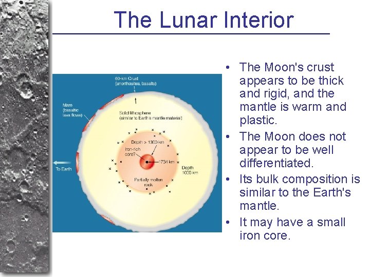 The Lunar Interior • The Moon's crust appears to be thick and rigid, and
