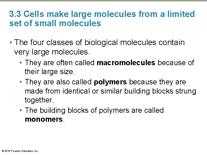 3. 3 Cells make large molecules from a limited set of small molecules •
