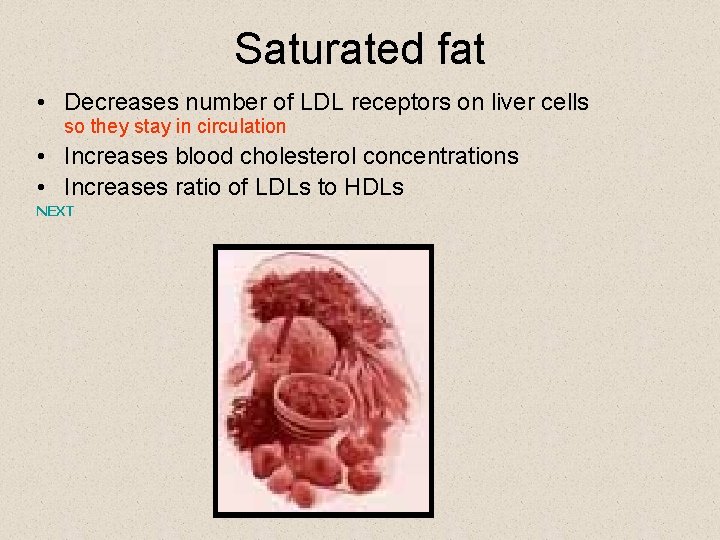 Saturated fat • Decreases number of LDL receptors on liver cells so they stay