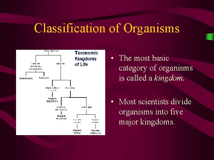 Classification of Organisms • The most basic category of organisms is called a kingdom. Classification of Organisms • The most basic category of organisms is called a kingdom.