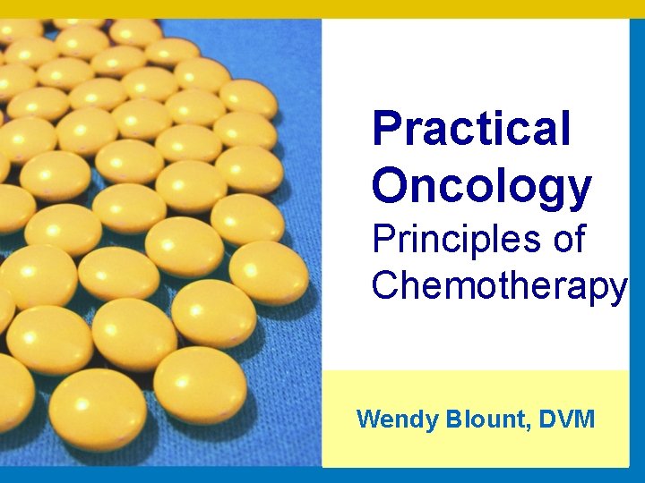 Practical Oncology Principles of Chemotherapy Wendy Blount, DVM 