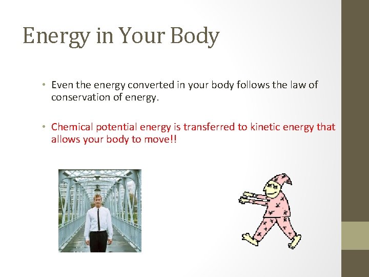 Energy in Your Body • Even the energy converted in your body follows the Energy in Your Body • Even the energy converted in your body follows the