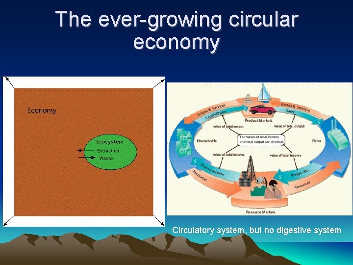 The ever-growing circular economy Circulatory system, but no digestive system 