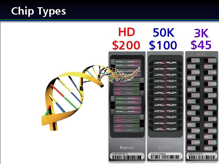 Chip Types HD 50 K 3 K HD - $200 $100 50 K -