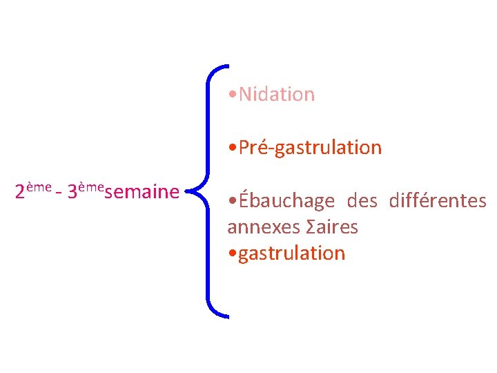  • Nidation • Pré-gastrulation 2ème - 3èmesemaine • Ébauchage des différentes annexes Σaires