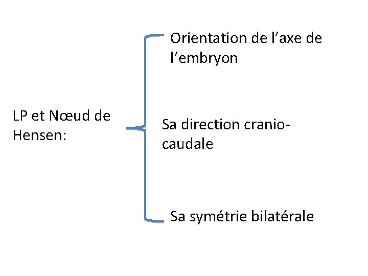 Orientation de l’axe de l’embryon LP et Nœud de Hensen: Sa direction craniocaudale Sa