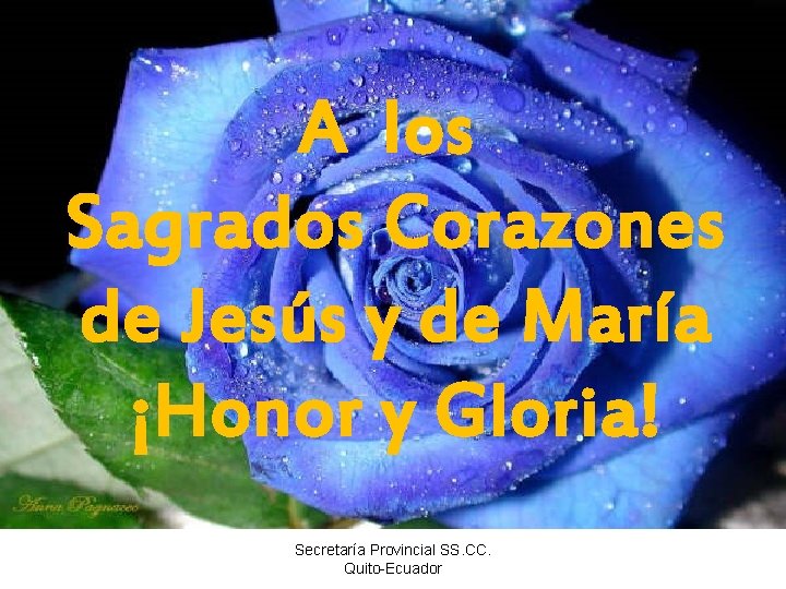 A los Sagrados Corazones de Jesús y de María ¡Honor y Gloria! Secretaría Provincial