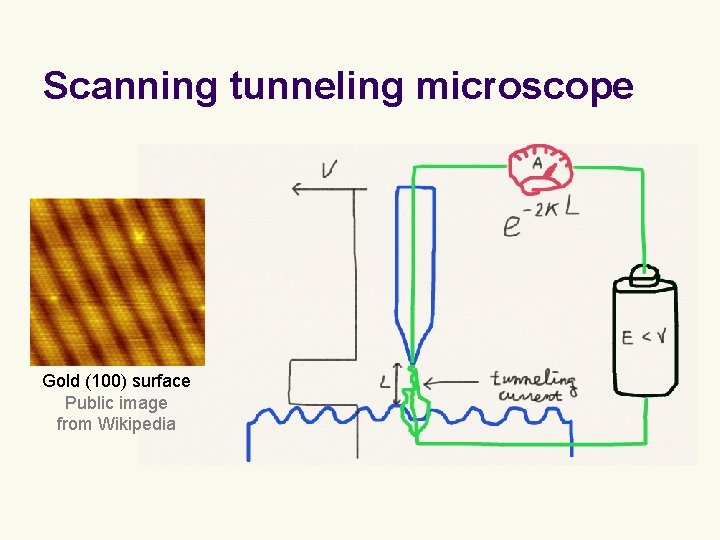 Scanning tunneling microscope Gold (100) surface Public image from Wikipedia 