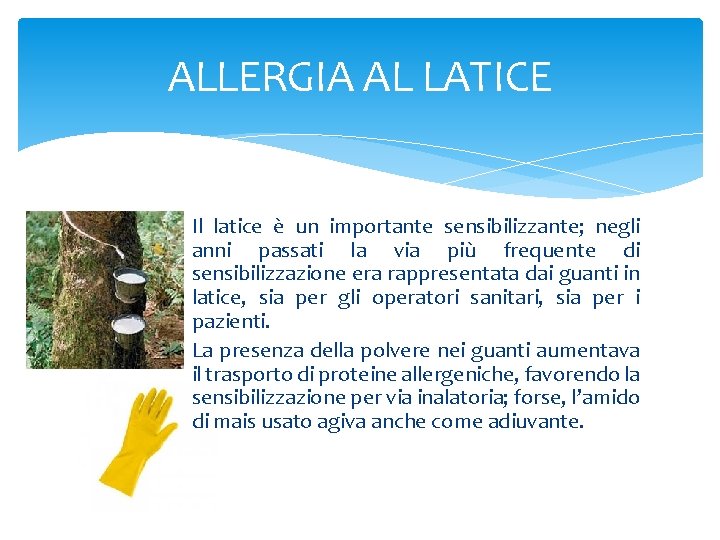 ALLERGIA AL LATICE Il latice è un importante sensibilizzante; negli anni passati la via