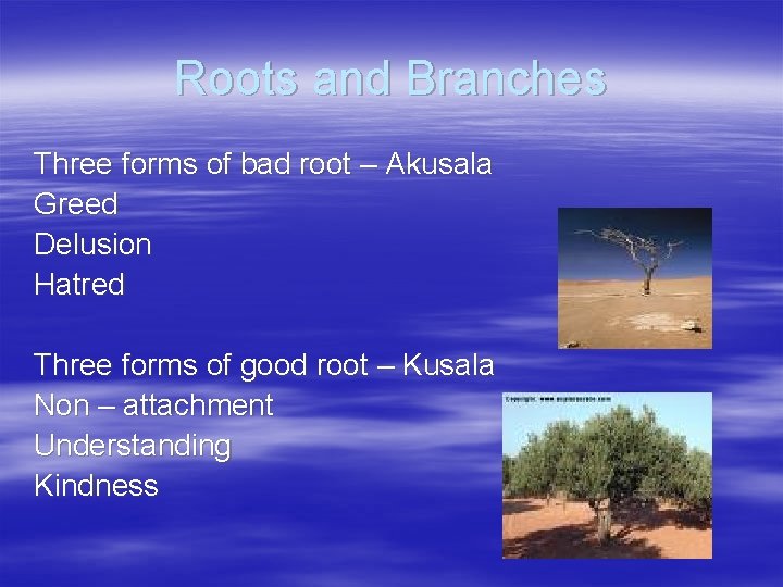 Roots and Branches Three forms of bad root – Akusala Greed Delusion Hatred Three