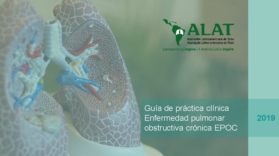 Guía de práctica clínica Enfermedad pulmonar obstructiva crónica EPOC 2019 