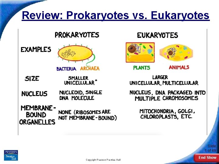 Review: Prokaryotes vs. Eukaryotes Slide 1 of 49 Copyright Pearson Prentice Hall End Show