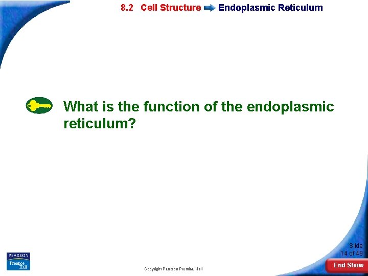 7 -2 Eukaryotic 8. 2 Cell Structure Endoplasmic Reticulum What is the function of